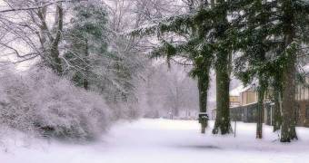 2004 年观江苏大雪有感《斯雪》