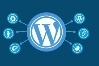 插件越多 WordPress 速度越慢是因为劣质插件