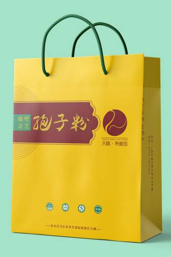 灵芝产品初版包装设计效果图