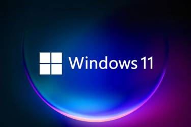 弥雅电脑为什么没升 WIN 11